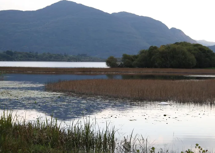 Innisfallen Homes By Trident Homes