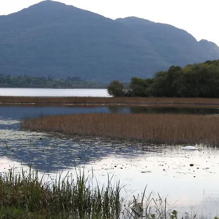 Innisfallen Homes By Trident Homes